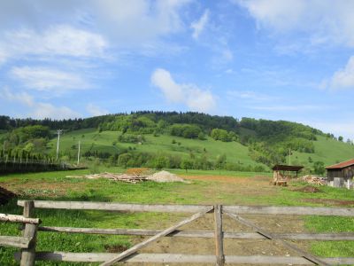 zq